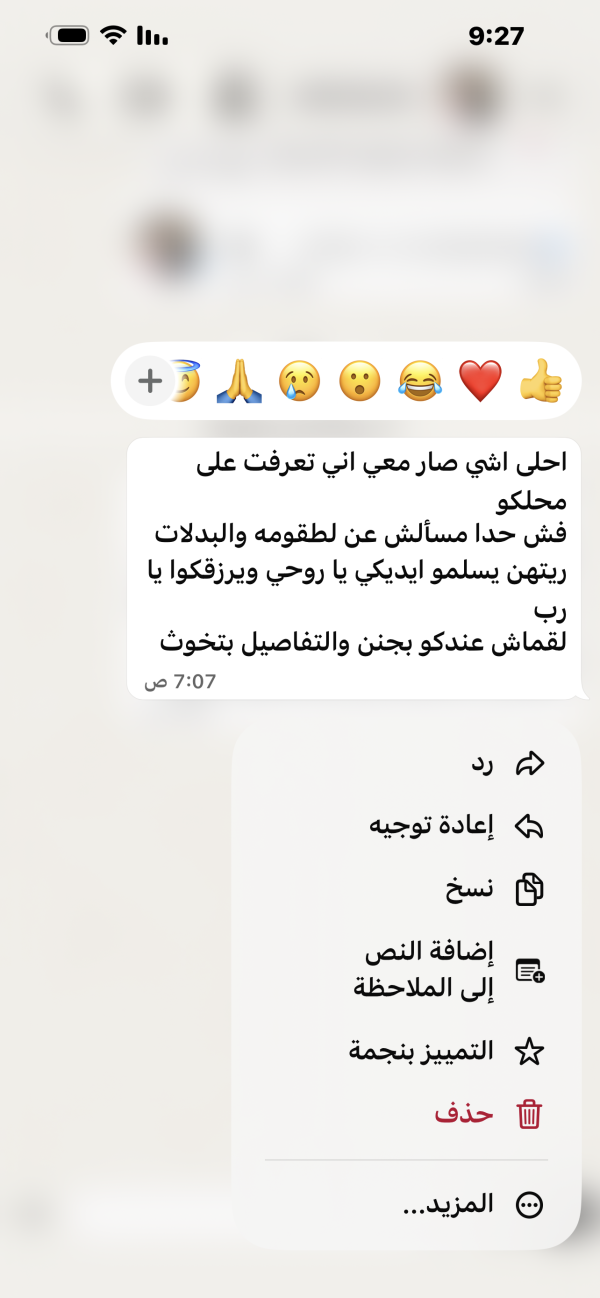 محمد من الداخل